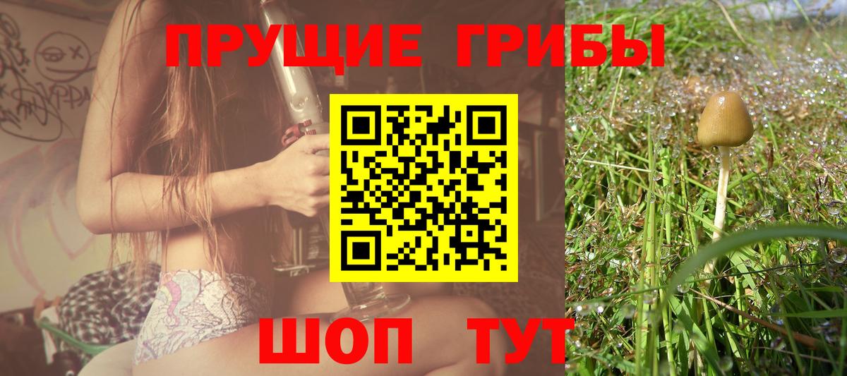 Ливны  Галлюциногенные грибы GOLDEN TEACHER  Вход с VPN  Галлюциногенные грибы Magic Shrooms 